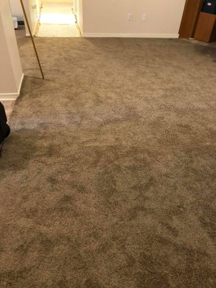 carpet