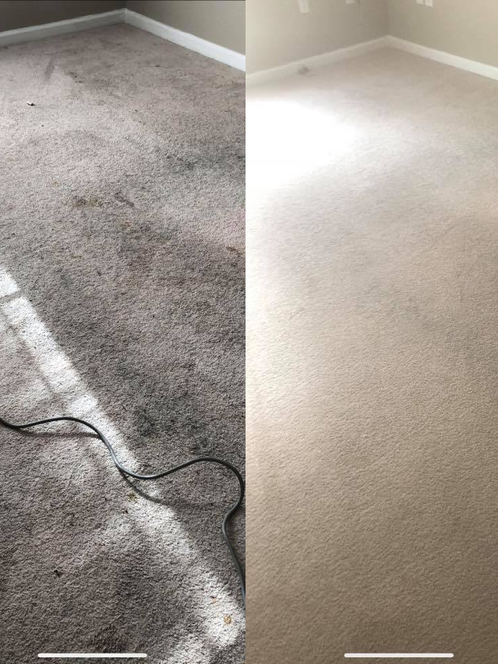 carpet