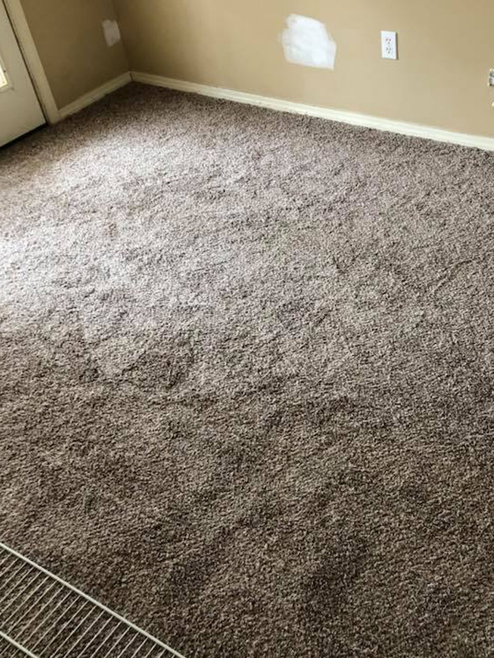 Carpet Cleaning in Biloxi, MS | Harrison County Carpet Cleaners