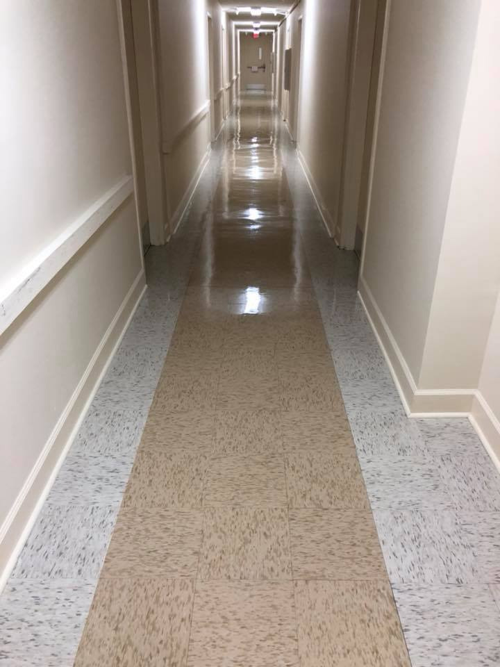 carpet