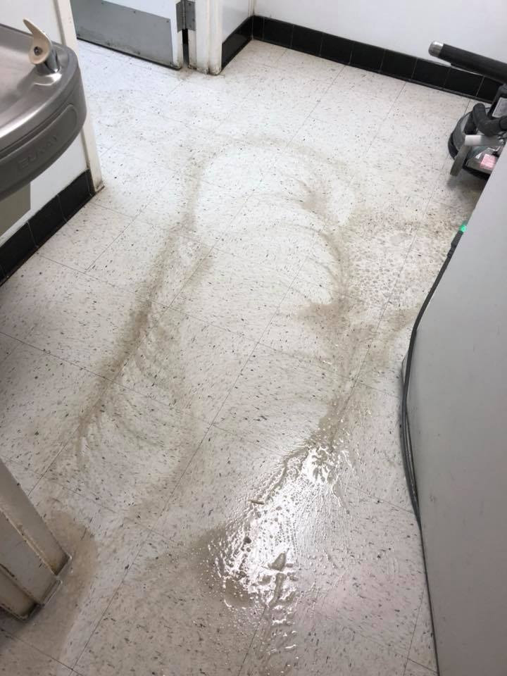 carpet