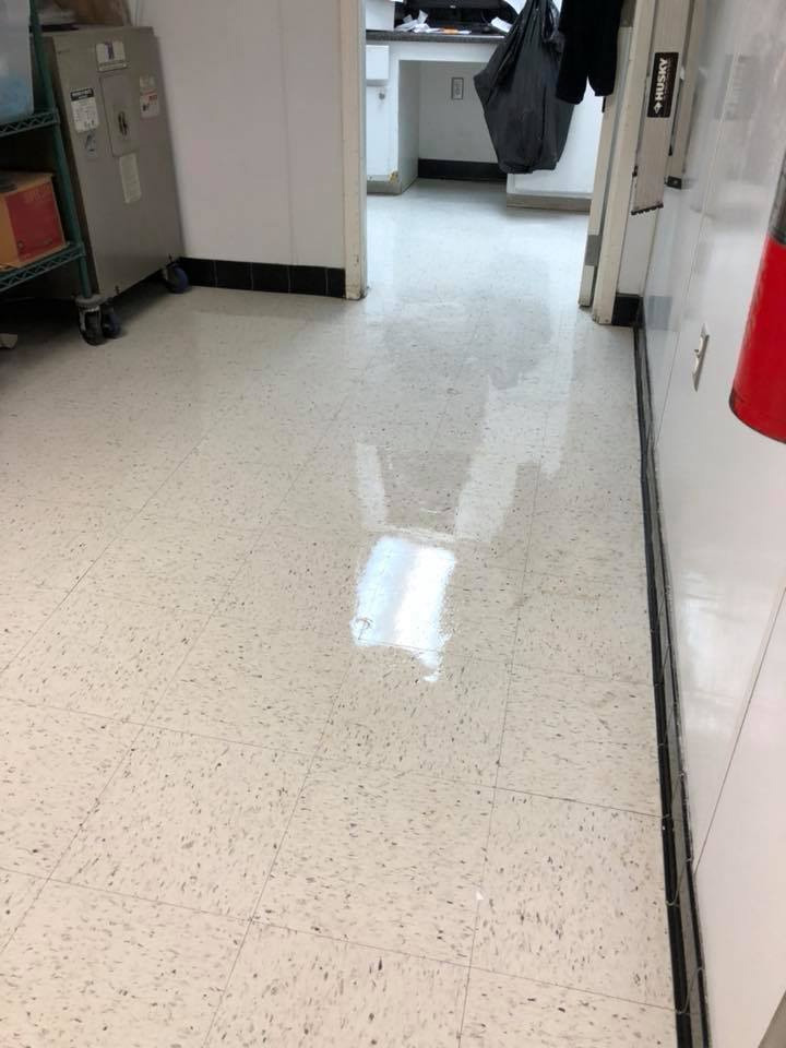 carpet