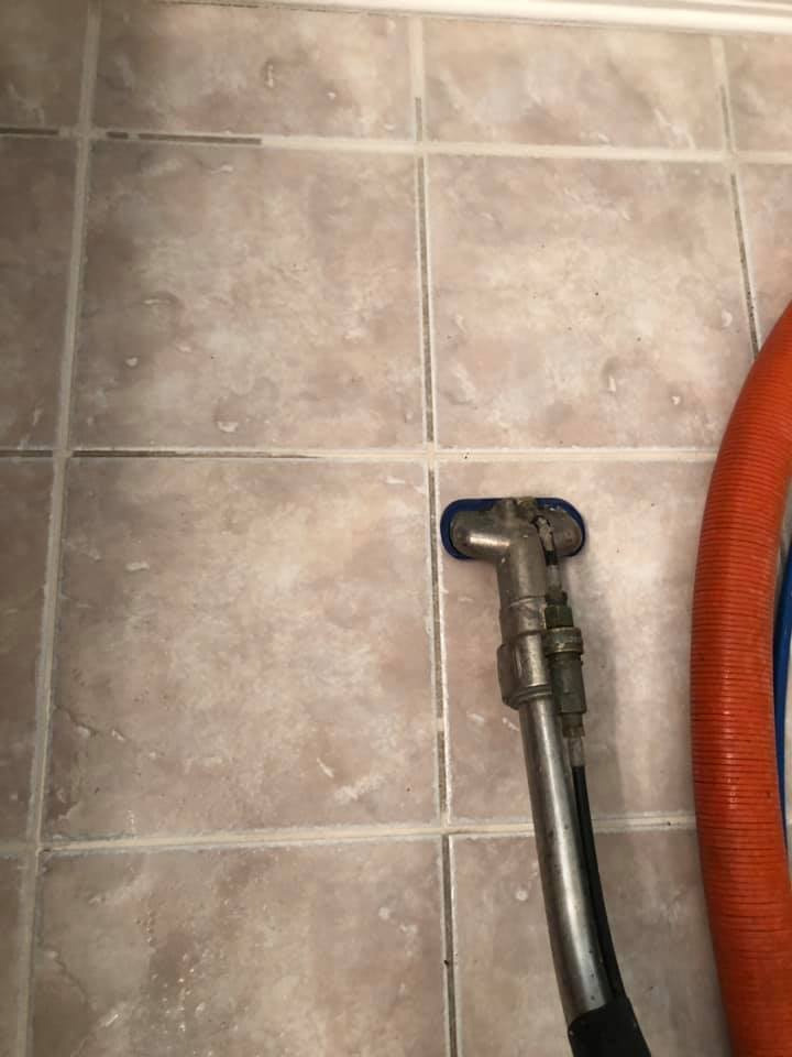 carpet